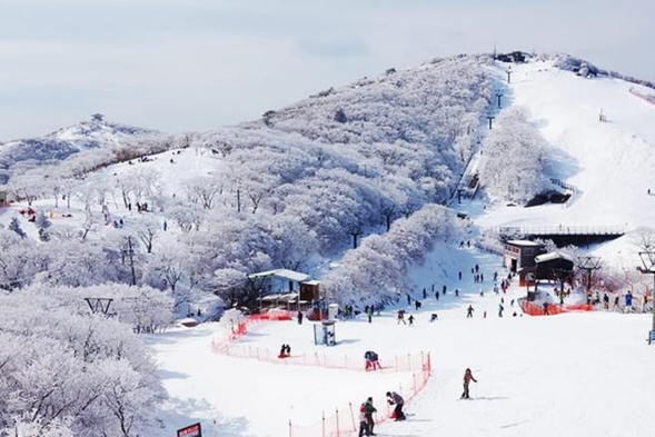 Mt. Yuzuru is located in Mie Prefecture and is a famous snow scenery and winter activity destination in the outskirts of Kansai. Every year from late December to early March, there will be spectacular tree ice wonders in areas above 1000 meters above sea level, especially from January to February when they are most easily observed. Strolling through the mountain park, one can admire the snow and ice trees covered in silver and strange shapes, as if entering a fairy tale world of ice and snow.
Note: Excluding equipment rental fees
*The tree ice at Yuzuo Mountain (1212 meters above sea level) can be seen in areas above 1000 meters from late December to early March of the following year. However, this is a natural landscape that must meet specific meteorological conditions to form.