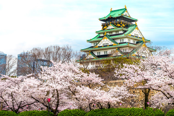 Osaka Castle Park (Not Ascending the Tensho Pavilion): Osaka Castle Park is located at 3-11 Osaka Castle, Chuo ku, Osaka City, Japan, with a total area of 105.6 hectares. It is surrounded by five subway stations and not far from Tenmanbashi and Kyobashi stations on the Keihan Main Line, as well as JR's Osaka Castle Park Station. The transportation is convenient and well connected in all directions. In the center of Osaka Castle Park stands the Tower of Heaven, which is a historical museum with a five story exterior and an eight story interior structure. There are not only thirteen important cultural heritage sites in the park, but also historical relics and cultural heritage sites that witness history