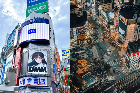 Shibuya: It is one of the urban areas under the jurisdiction of Tokyo, Japan, located in the southwest of the 23rd district of Tokyo. This district, along with Shinjuku, is a famous city in Tokyo that never sleeps. Shibuya Station is the second largest transportation hub in Japan after Shinjuku Station, with 9 lines and over 3.3 million daily transfers. From the late Heian period to the Edo period, the region was successively under the influence of the Shibuya clan and directly under the shogunate. In 1932, it was officially established as a district. In 1964, it underwent street transformation during the Tokyo Olympics. After the completion of Shibuya 109 Building in 1979, it transformed into an Asian fashion center.