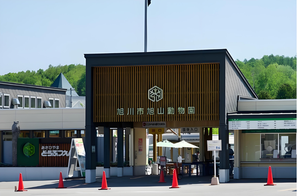 【旭山动物园】(约60分钟)是日本非常有名的动物园,同时也是日本大规模的极地动物园。旭山动物园以独树一帜的动物行为展示方式而闻名,通过展厅的独特设计,让动物在相对自由的饲养状态下展示自己本能行为的同时,还能让游客无障碍地观看到动物的自然状态。在海豹馆,可观赏到巨大的圆筒形水槽中垂直游动的斑海豹。在北极熊馆,不仅能看到北极熊在地面上徘徊,还可看到它们在水中充满活力的游动情形。在企鹅馆,可观赏企鹅在水中360度飞一般的游弋,冬天还能看到企鹅在户外雪地散步。