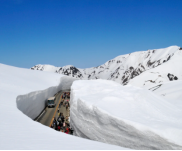 室堂站步行 50 米即达入口,免费开放无需门票,沿步道穿梭于雪壁间,高原巴士从旁驶过,是拍摄氛围感大片的绝佳机位,入口可免费领取雪墙通行证作纪念。