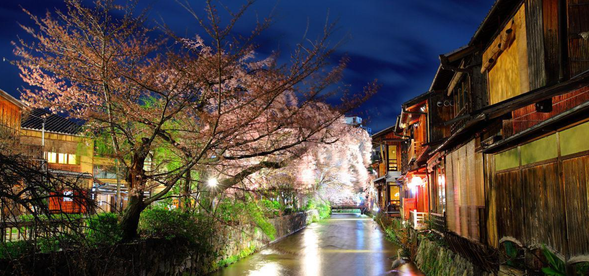 夜游推荐景点:(自行前往)
【京都清水古街】是京都最具代表性的历史风貌区之一,融合了 唐宋建筑风格 与现代商业氛围。
清水五条吴竹庄酒店附近推荐美食:東山吉寿(日本料理)步行600米、祇園さ木(日本料理)步行800米
S佩里亚酒店附近推荐美食:セアブラノ神 壬生本店(拉面)650米、なか栄(日本料理)950米