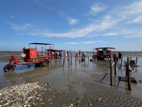 芳苑潮間帶體驗(採蚵導覽)(1.5小時~2小時)
*潮間帶體驗會下海採蚵,建議可帶一套乾淨的衣物替換,海邊紫外線強,建議準備防曬物品。