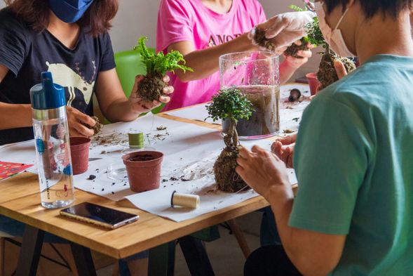 Zhongxing New Village + Moss Ball DIY