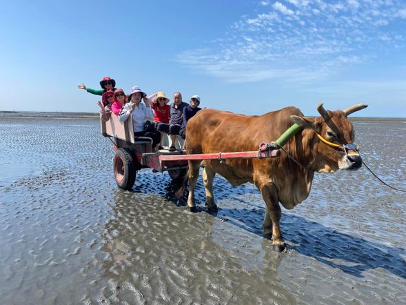 芳苑海牛搭乘生態體驗
