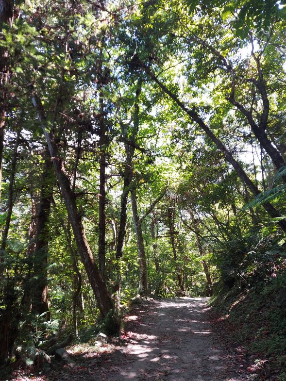 漫步山風步道口、山風一號橋、山風瀑布、山風二號橋