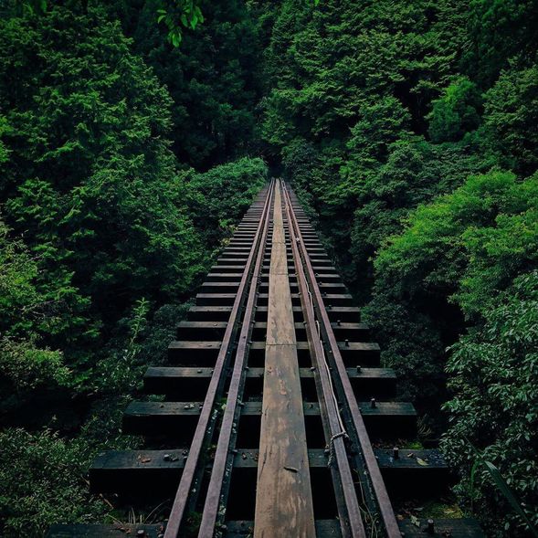 05:30 嘉義火車站
07:30 阿里山旅客服務中心
眠月祝山鐵道岔路
廢棄塔山車站
廢棄眠月車站
廢棄石猴車站
15:00 返回沼平車站
17:00-17:30 嘉義火車站