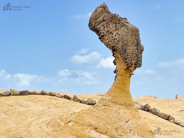 飯店享用早餐
野柳地質公園(1小時30分)*可搭配夜訪女王活動,改為夜間參觀