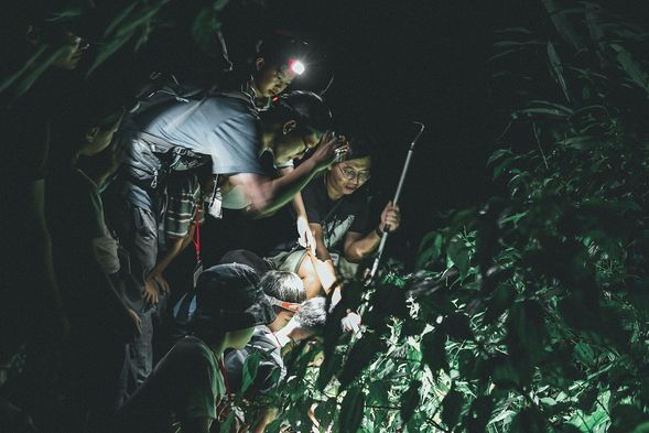 鯉魚潭夜間生態導覽