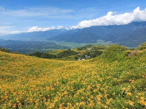 六十石山(2小時) 漫遊黃花亭、小瑞士和忘憂亭