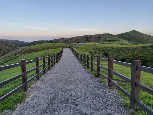 14:10-14:50擎天崗
