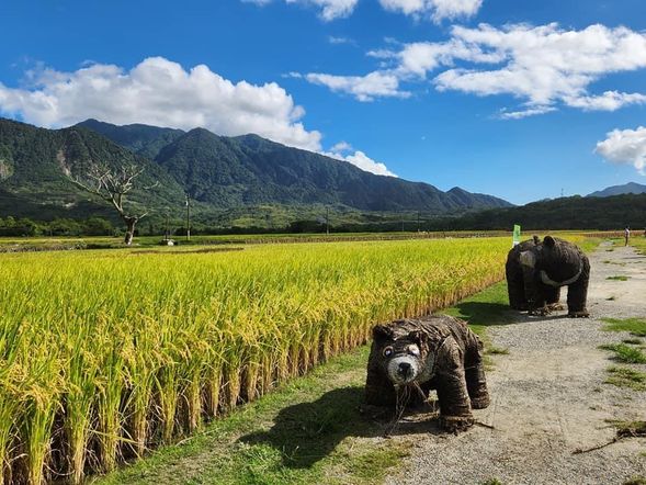 花蓮富里農會稻草藝術季-「動物迷蹤—非洲大草原」為主題,用稻稈、竹子及漂流木製成的非洲野生動物裝置,讓人彷彿置身非洲大草原,有灰冠鶴、萬獸之王、小鹿觸心、非洲大象..等,每件作品都栩栩如生。