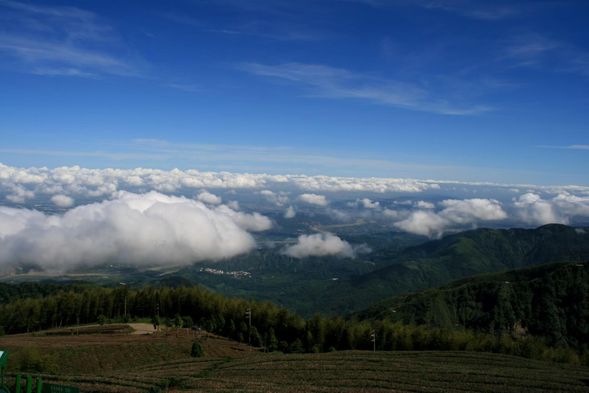 第2天
• 08:00-08:30草嶺或來吉地區民宿
• 雲嶺之丘(1小時)
• 五元兩角(1小時)
• 九芎神木(1小時)
• 草嶺地質公園(40分)
• 萬年峽谷(1小時)
• 返回台中市區各接送點
早餐:自理 中餐:自理 晚餐:自理