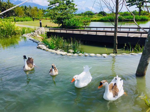 媽媽農場(30分鐘)