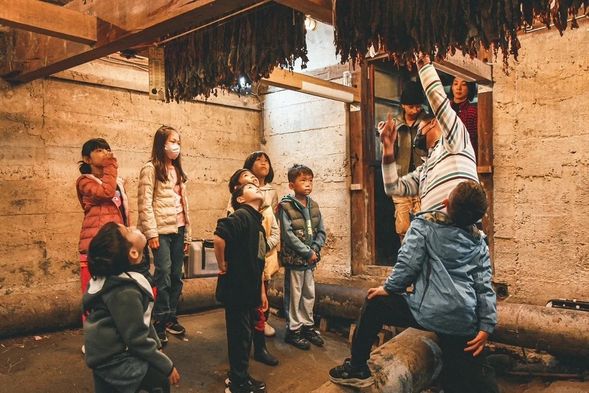 鳳林小鎮慢遊 二選一方案
【A方案】小城故事 (百年煙樓、神社巡禮、美好花生、校長夢工廠/獨立書店 )