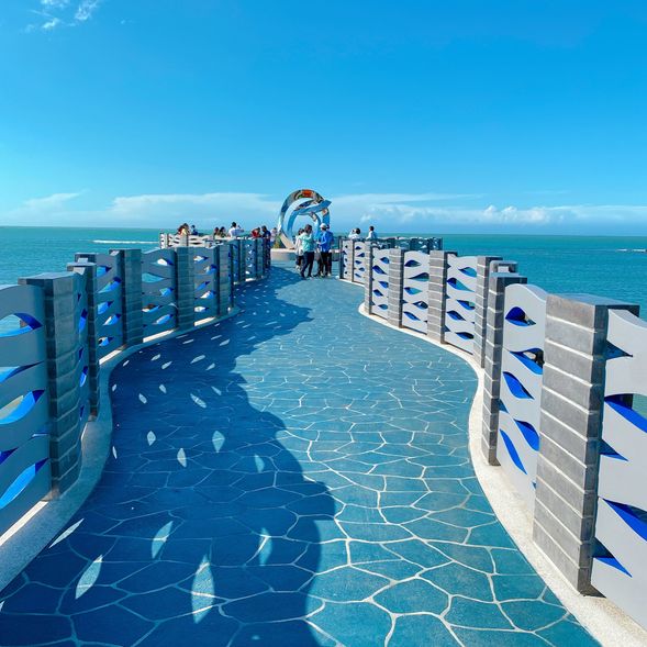 16:30-17:00芝蘭公園海上觀景平台(90分)