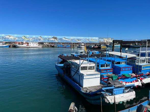 成功海洋環境教育教室(30分)