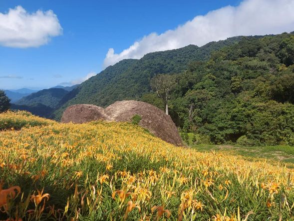 漫遊土地公廟、千噸石龜、小瑞士農場、汪家古厝、金針大道和赤科三巨石。