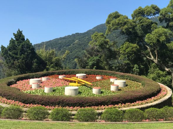 11:00-11:20陽明山花鐘