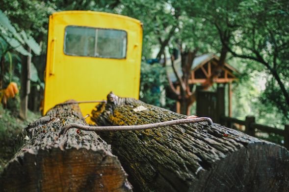 池南森林遊樂區