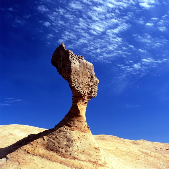 10:30-12:00 野柳地質公園、女王頭(90分)