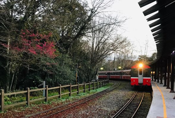 第2天
• 晨喚 (集合時間依導遊前一天告知)
• 阿里山森林鐵路(單程)-祝山線火車(60分)
• 【搭乘祝山線火車單程,並於祝山車站下車觀賞日出】
• 阿里山森林遊樂區-步道漫遊(120分)
• 【新八景之香林拱橋、神怡流瀑、神木遺跡、慈雲寺觀景】
• 奮起湖老街(40分)
• 返回台中市區各接送點
早餐:自理 中餐:自理 晚餐:自理