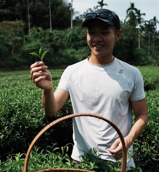 茶園散步與拍照
