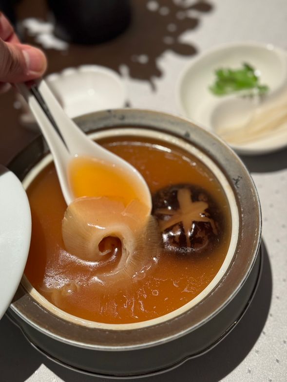 Chef’s Special Course B ★Includes Braised Whole Shark Fin
Kaihua Lou’s Signature Three-Appetizer Platter:
Crispy roast pork
Salt-baked chicken
Shredded jellyfish with apple and cucumber
Braised whole shark fin
Phoenix Imperial Dim Sum:
Fish roe shumai
Lemon-flavored sweet and sour pork
Xiao Long Bao (soup dumplings)
Chinese-style steamed sea bass
Seasonal fresh fruit
Sweet soup with almond and taro