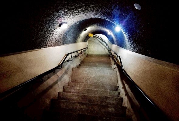 晚餐後,可自由前往參觀圓山大飯店內,平時不對外開放的東側密道(神秘防空壕遺址)。