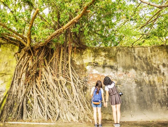 Anping Tree House (20 minutes)