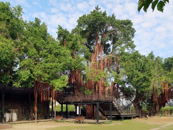 德記洋行(ドゥージーヤンハン)、安平樹屋(アンピンシューウー) (約1時間)