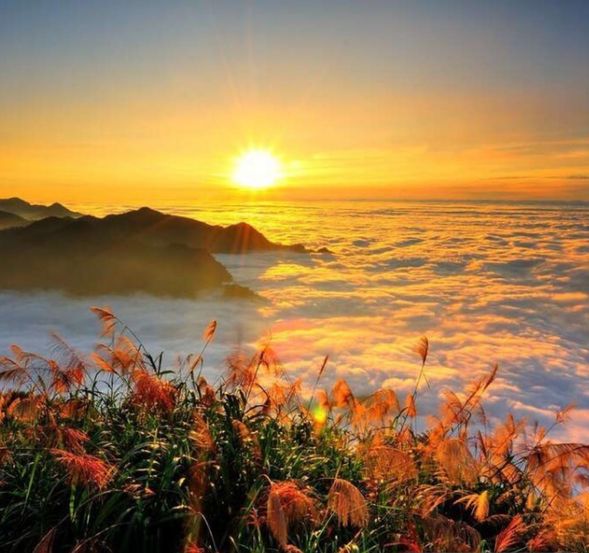 早朝:日の出観賞(希望者) 祝山線ミニ列車にて日の出・雲海鑑賞