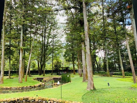 ~アクティビティ~
大自然の中にある立地を活かし、トレッキングや森の中での深呼吸と気功が合わさった「氣循森呼吸」、さらには台湾原住民の文化体験や湯上り処のスイーツなど、様々なアクティビティをご用意しております。