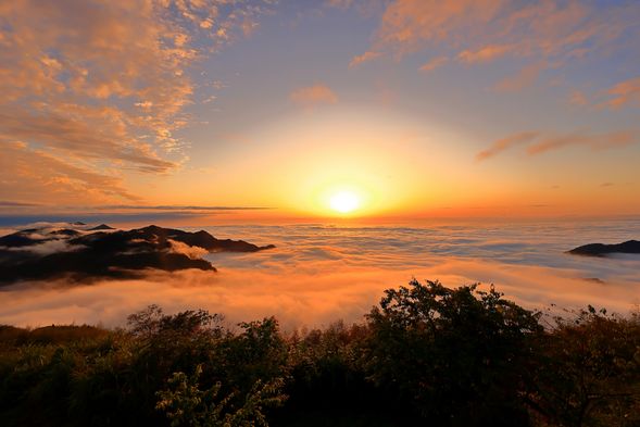 祝山にて日の出・雲海鑑賞(約30分)