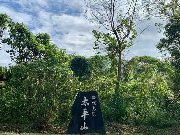 台北市内宿泊ホテルより出発
07:00-10:00 専用車にて宜蘭太平山へ(途中茶之郷、土場駅休憩)