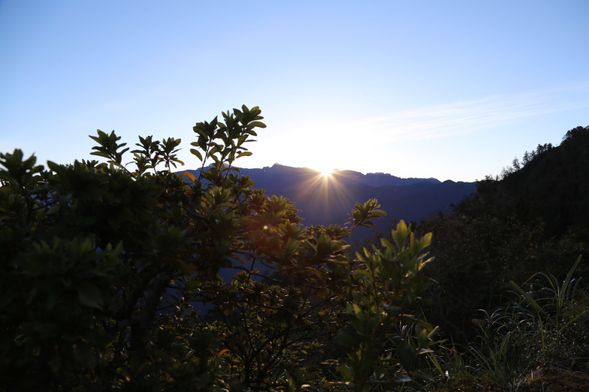 Plan A: Travel to Alishan using the main railway line
Day 2
Early morning: Hotel pickup and travel by high mountain railway (approximately 25 minutes).
The departure time will be communicated by the guide the day before, based on the sunrise time.
06:00 Enjoy the sunrise and sea of clouds at Zhu Mountain (30 minutes). The time for the sea of clouds varies by season.
06:30 Descend to Alishan Station while enjoying a forest walk (1 hour).
07:30 Breakfast and check out (a short rest is possible).
11:50 Board the Alishan main line train to Fenqi Lake, arriving at 13:29. After exploring, use a private vehicle or taxi to the National Palace Museum South Branch.