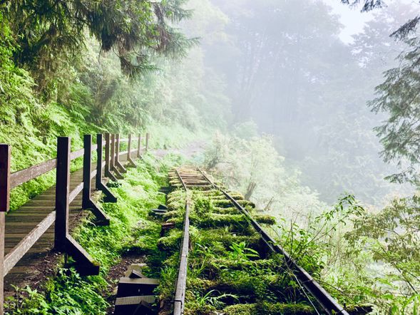 世界で最も美しいトレイルの見晴懐古歩道散策(約1時間)