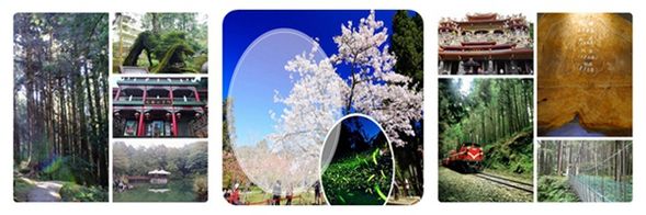 阿里山森林遊樂區 自由活動時間,建議可前往搭乘阿里山森林火車