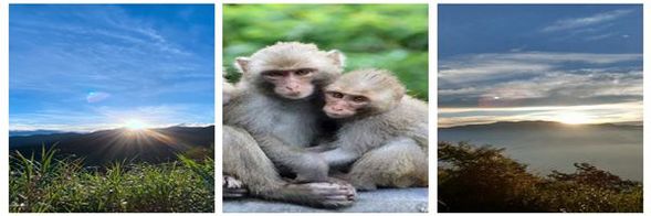 ※玉山日出: 一.自忠觀賞玉山群峰稜線日出 二.高山欣賞雲海 三.玉山野生動物區,尋找野生動物 四.觀賞台灣第二大2700年鹿林神木 *請於指定時間在飯店門口集合,搭乘旅遊車前往玉山國家公園觀賞日出。〈全程約1.5-2小時〉 *因季節性的變化賞日出的時間也會有所變動(預計出發時間:5-9月04:30;10-4月05:50),請依當地接待人員與您約定的時間為主。 *此行程不開放1/1出發,請勿選購。(避免遇大塞車影響您後續行程)