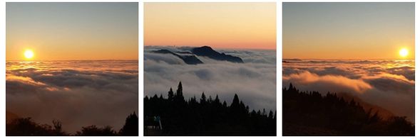 自由活動。*出發前建議先將行李整理好後寄放飯店大廳,建議搭乘遊園車前往沼平車站→姊妹潭→三兄弟→四姊妹→金豬報喜→永結同心→木蘭園→受鎮宮→三代木→象鼻木→阿里山香林神木→ 慈雲寺→旌功碑→樹靈塔→千歲檜→搭乘11:50神木線火車單程台幣100元至阿里山車站或是返回受鎮宮搭乘遊園車至阿里山遊客中心單程台幣60元來回台幣100元