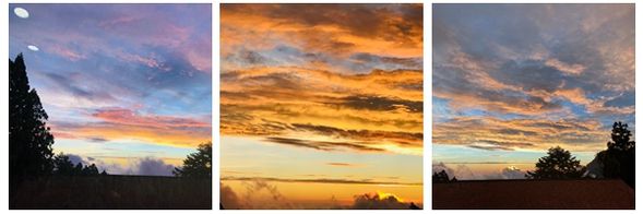 享用風味晚餐。(請持餐卷至指定餐廳用餐)餐後特別推薦前往阿里山車站。車站的夜景相當迷人(越夜越美麗),輝煌華麗,讓人流連忘返。