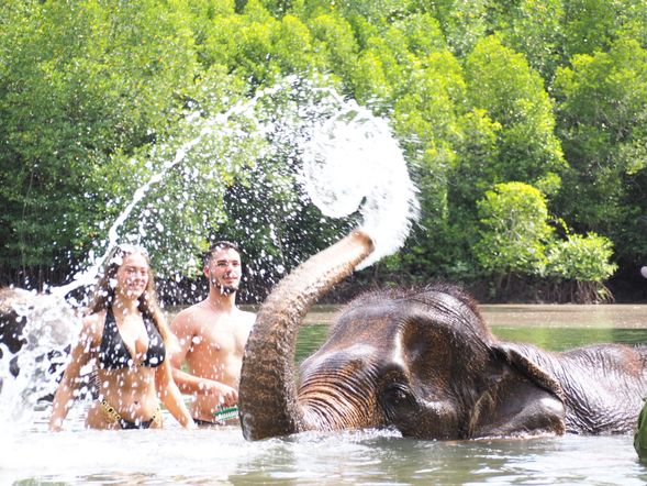 作為負責任的旅行者,必須考慮我們的冒險活動對我們訪問的目的地的影響。透過選擇像甲米大象收容所提供的道德大象旅遊體驗,您可以對大象及其照顧者的生活產生積極的影響。