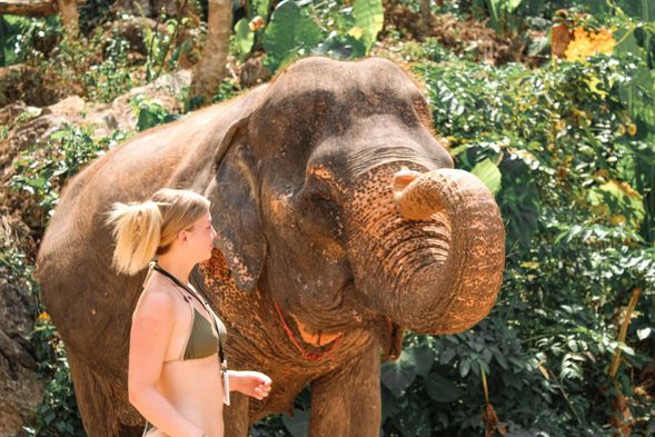 您將有機會與大象近距離接觸,您將了解它們的行為,幫助餵養牠們,甚至與這些溫柔的巨人一起享受泥浴和河浴。經驗豐富的工作人員將確保您獲得難忘且富有教育意義的體驗。