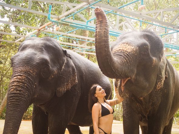旅程中補給點的環節也是重點之一,倘若登島只為了採買或補水補給在我們看來非常的可惜,"奧南"有非常多的事物可以嘗試或體驗,從攀岩到水療按摩/護理、甚至我們強烈建議前往 " 大象保護區 " 與大象親密接觸一起度過美好的一天,在這您一定能輕鬆愉悅享受到不同的快樂。