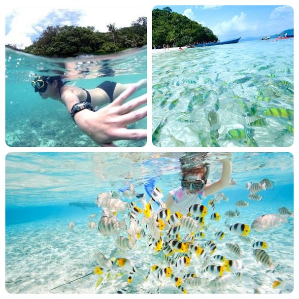 中途停靠點為" Koh Mai Phai " 也稱做 " Bamboo Island "( 竹島 ) 停留享用午餐,這裡美麗的沙灘上有大量珊瑚魚,能見度良好,是業餘潛水者的夢想之地。