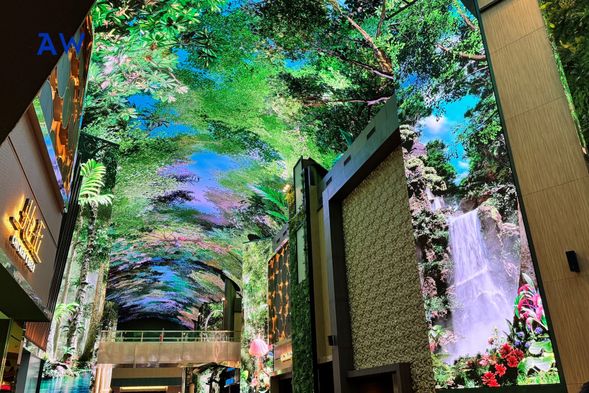 Asia's stunning canopy