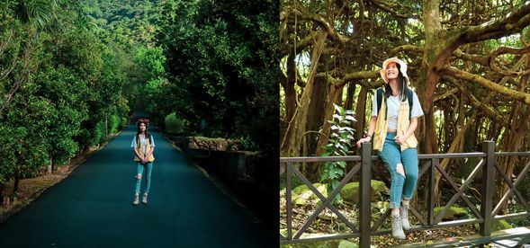 到白榕園走進少年Pi的世界!