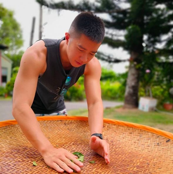 幫採下來的茶葉小心翼翼地按摩