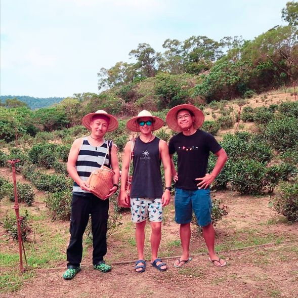 戴上斗笠、背上竹簍,準備採茶