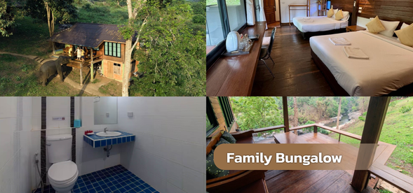 Elephant Friend - Family Bungalow